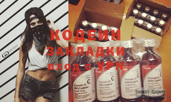 прущие грибы Алзамай