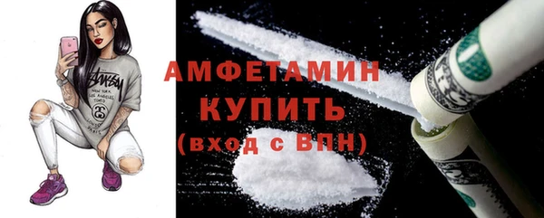 прущие грибы Алзамай