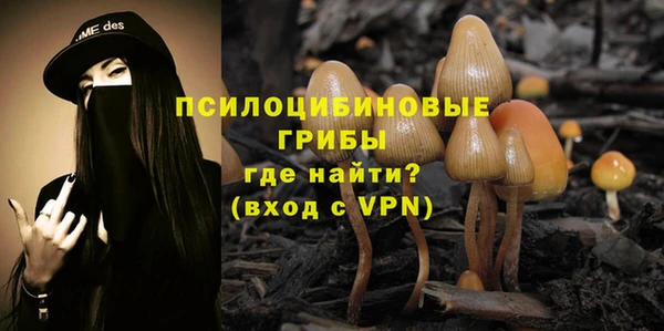 прущие грибы Алзамай