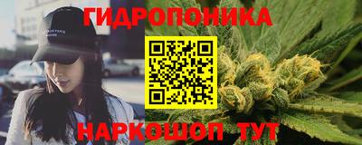 прущие грибы Абинск