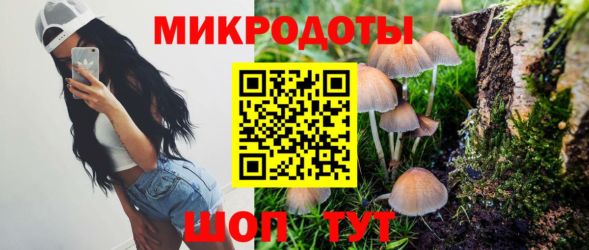 Псилоцибиновые грибы GOLDEN TEACHER  Вход с VPN  Ахтубинск  Галлюциногенные грибы мухоморы 